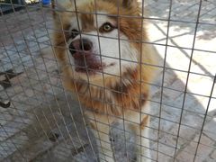 -武汉紫薇都市田园