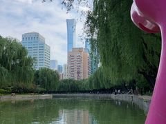 -团结湖公园