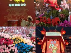 -越秀西湖花市(广州城市广场花卉店)