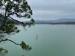 -广州市流溪河国家森林公园