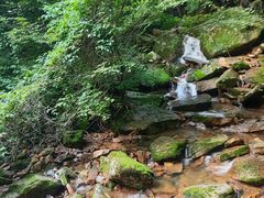 -五女峰国家森林公园