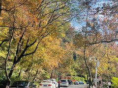 -广州市石门国家森林公园