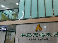 -半岛宠物医院24小时(科华中路店)