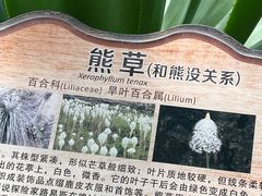 -南山植物园