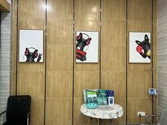-瑞派名望志远动物医院·猫科·內科·异宠专科(直港大道店)