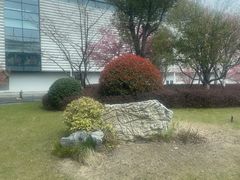 -杭州萧山国际机场