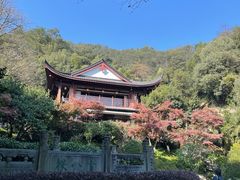 -十八棵（老龙井）御茶园(老龙井店)