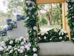 -深圳仙湖植物园