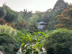 -龙井草堂