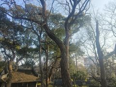 -绮园景区