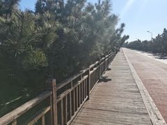 -渡海小渔村.老辈日照菜