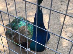 -蓬莱欧乐堡梦幻世界