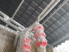 -金子山原生态旅游风景区