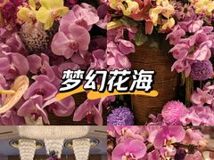 -深圳福田香格里拉大酒店