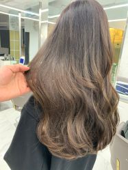 -潘多拉Hairsalon