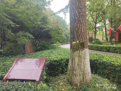 -邓家食府(邓小平故里店)