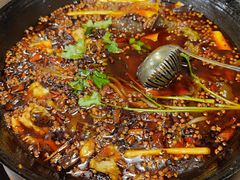 -鸿顺老铁锅美蛙鱼府(解放碑店)