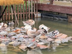 -荷塘味道(水长城店)