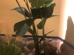 -十二饭点·川菜(北站圆融店)