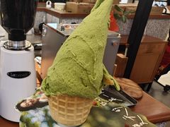 -野人先生Gelato(上海长宁龙之梦店)