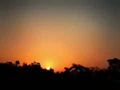 -春花秋色城市公园