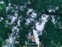 -北京石刻艺术博物馆(五塔寺)