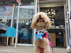 -福巷湘食小馆·猛火现炒(上海首店)