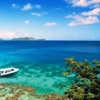 -薇兰专业脱毛连锁机构