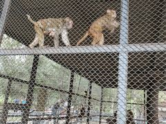 -长白岛森林公园