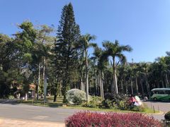 -深圳仙湖植物园