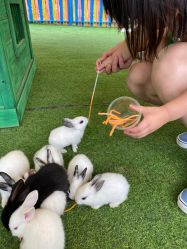 -萌宠亲子动物乐园(槐房万达店)