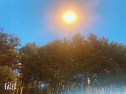 -東田造型