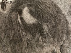 -江苏省美术馆(长江路新馆)