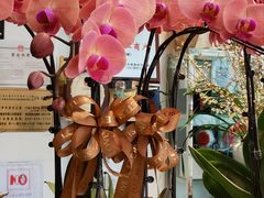 -FEI FEI FLOWER鲜花店·气球派对·宝宝宴布置(虹口德必运动Loft店)