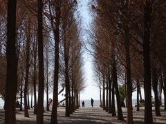 -捞渔河湿地公园