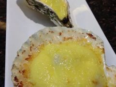 夏威夷贝-皇城老妈川味火锅·大连海鲜火锅(港湾店)