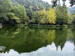 -桂林古东瀑布景区