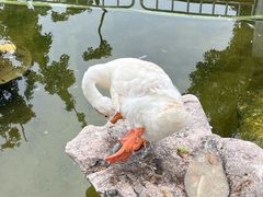 -龙华寺