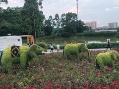 -光明小镇欢乐田园