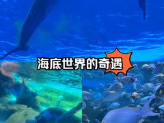 -海合安成都极地海洋公园