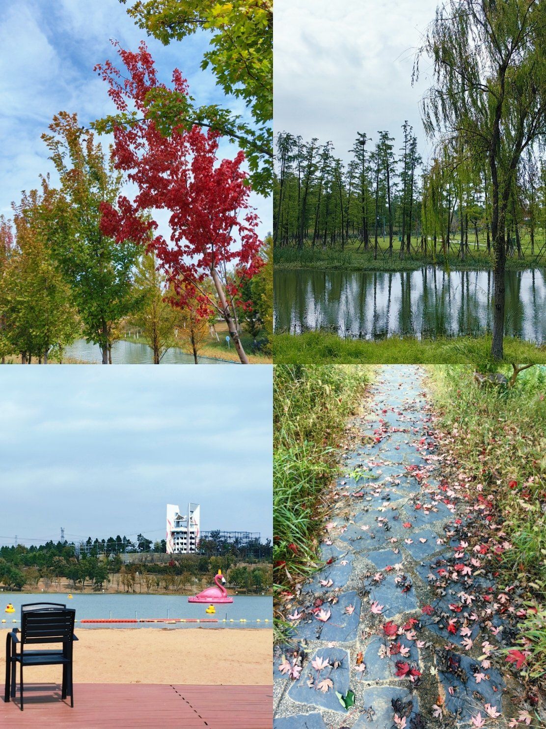 新龙天气在线 新龙天气在线