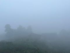 -紫鹊界梯田景区