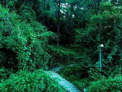 -九龙潭景区