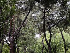 -元大都城垣遗址公园