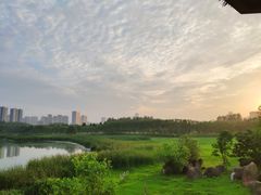 -滨湖塘西河公园