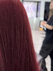 -依格宝IL COLPO明星店