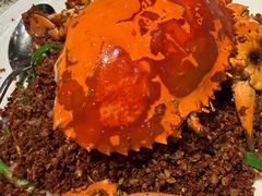 -喜记避风塘炒辣蟹(旗舰店)