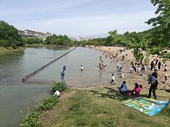 -滨湖塘西河公园