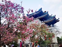 -宝墨园景区