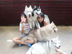-TrueLove @ Neverland (Husky Cafe)